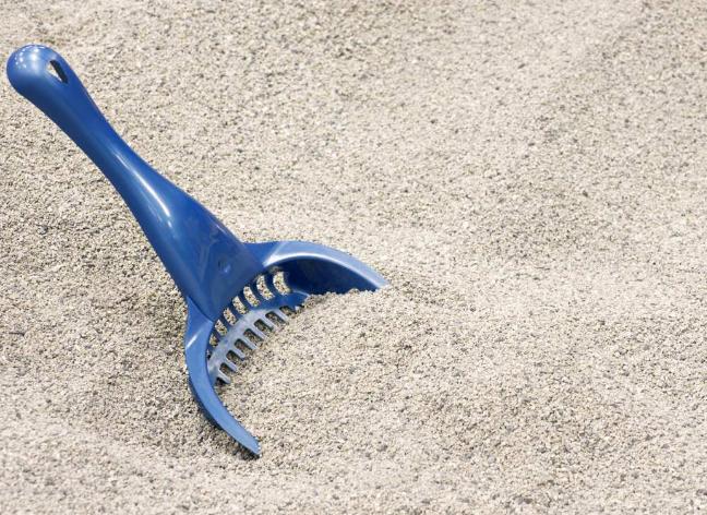 Why Is My Cat Not Using the Litter Box? Top 5 Reasons to Know